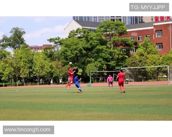 武汉排球队边路渗透技术的创新与发展探讨